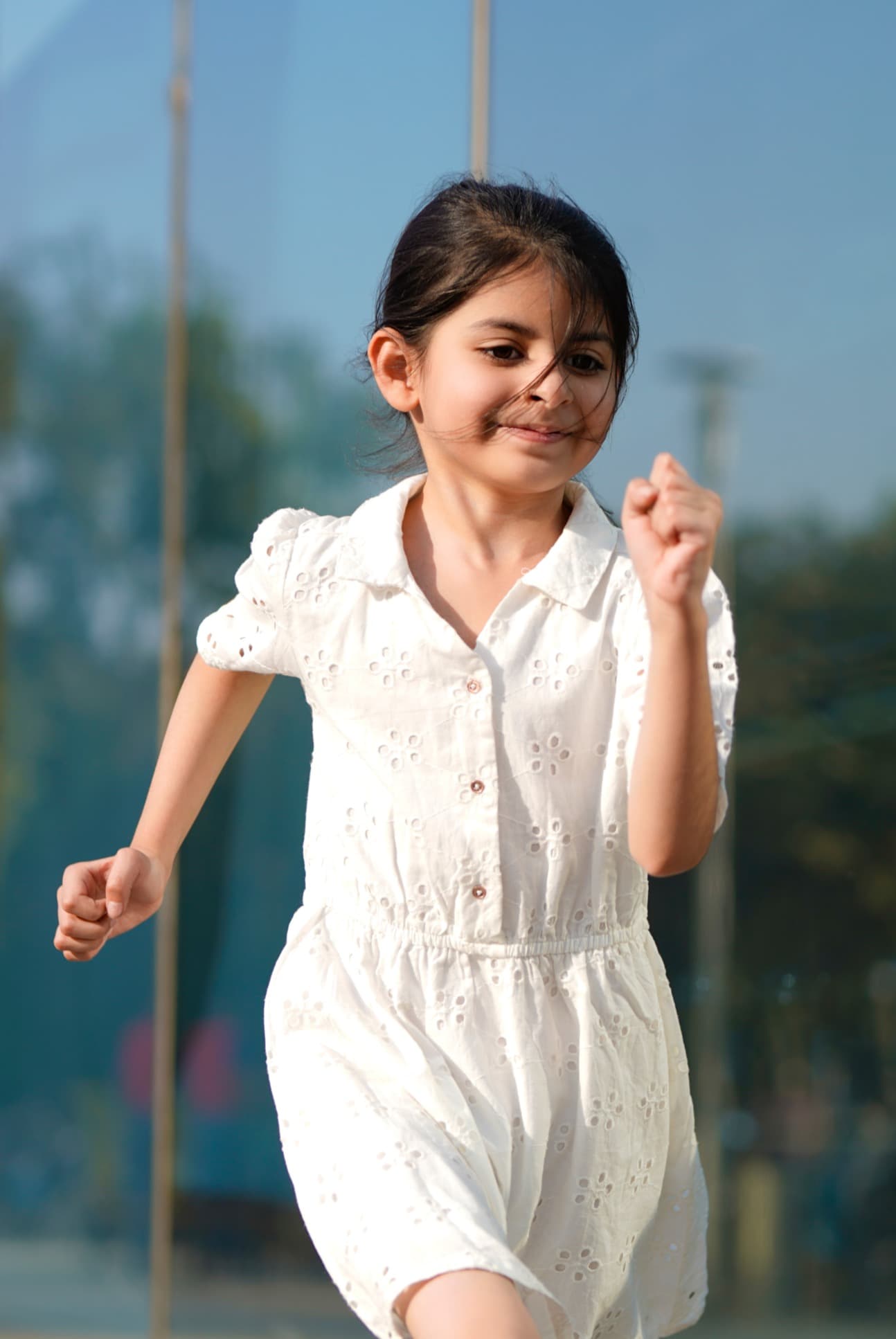 Global Prime Primary Wing